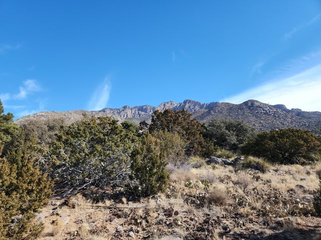47 Rock Ridge Drive NE, Albuquerque, NM 87122