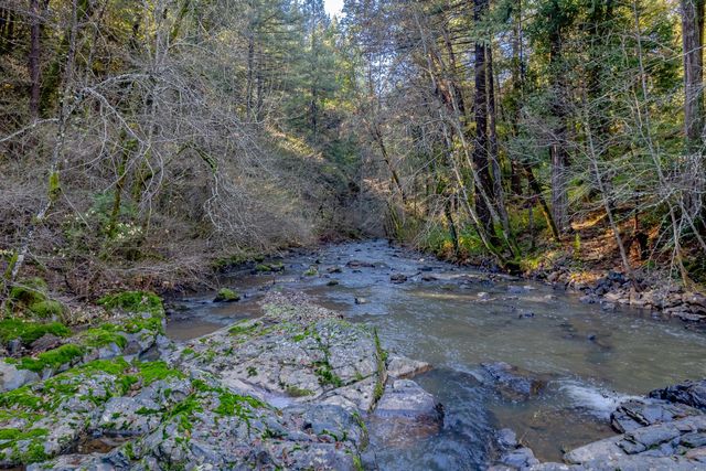 17725 La Porte Rd, Brownsville, CA 95919