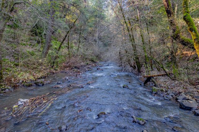 17725 La Porte Rd, Brownsville, CA 95919