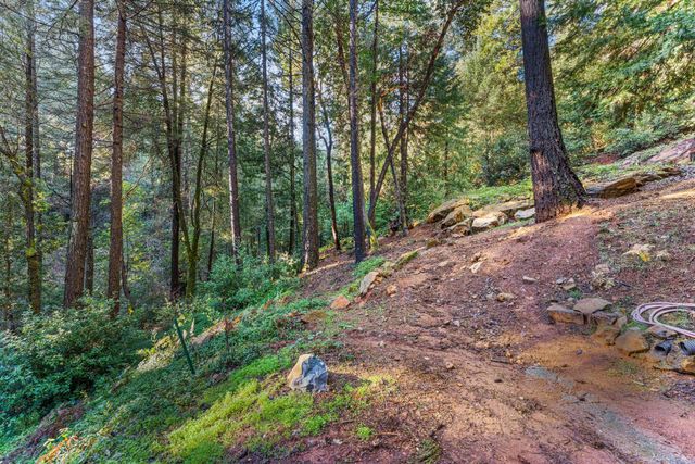 17725 La Porte Rd, Brownsville, CA 95919