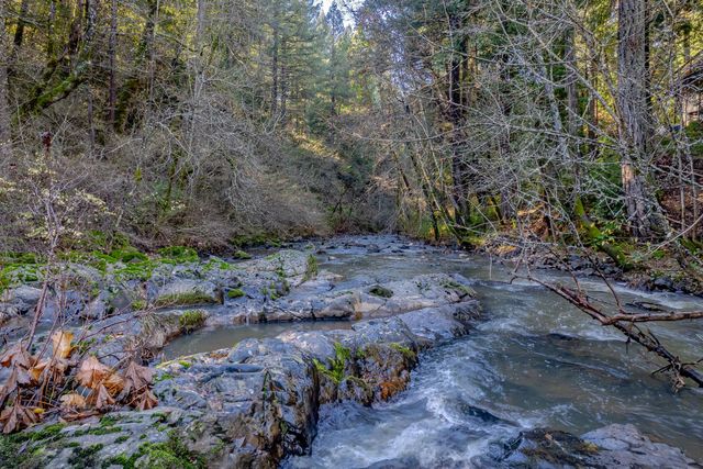 17725 La Porte Rd, Brownsville, CA 95919