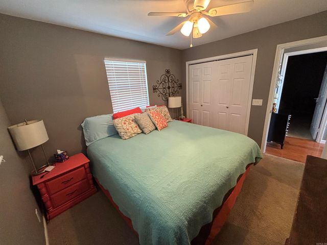 225 Irish Hills Road, Edgemont, AR 72044