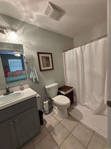 225 Irish Hills Road, Edgemont, AR 72044