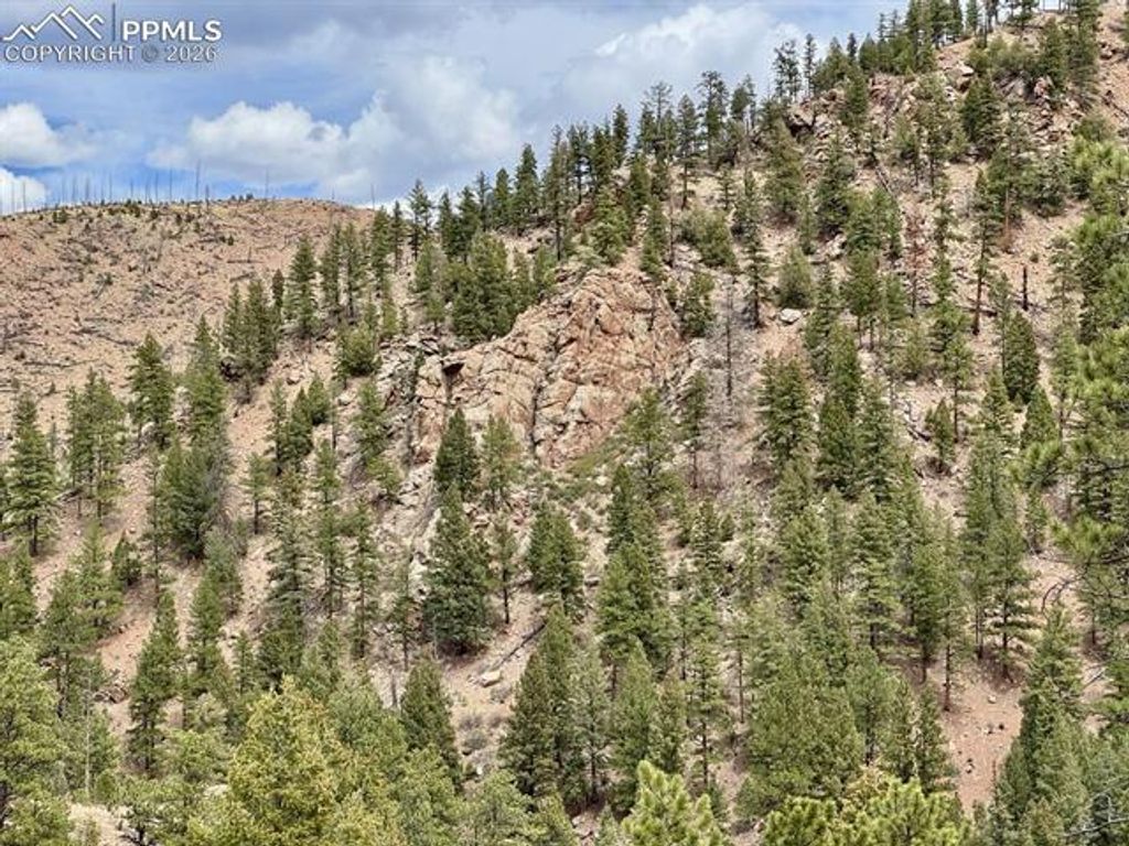 13526 N Highway 67, Woodland Park, CO 80863 — photo 2