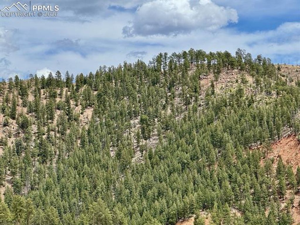 13526 N Highway 67, Woodland Park, CO 80863 — photo 3