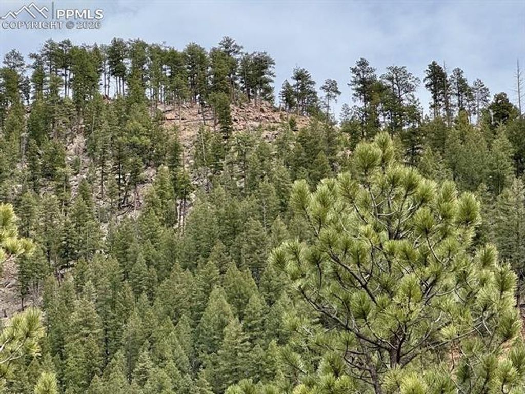 13526 N Highway 67, Woodland Park, CO 80863 — photo 4