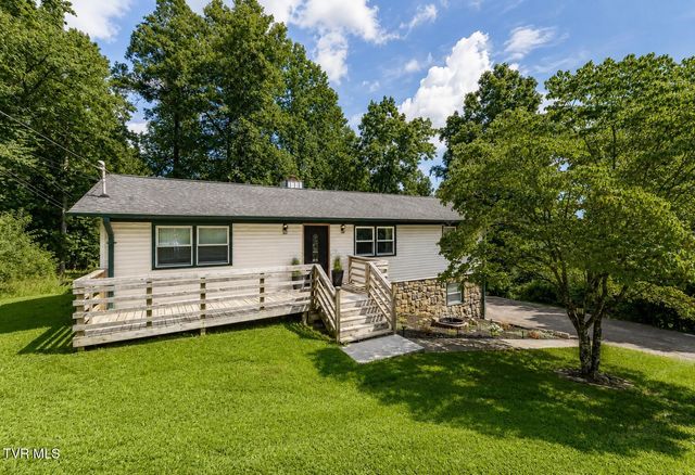 303 Clifftop Court, Mount Carmel, TN 37645
