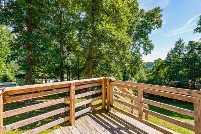 303 Clifftop Court, Mount Carmel, TN 37645