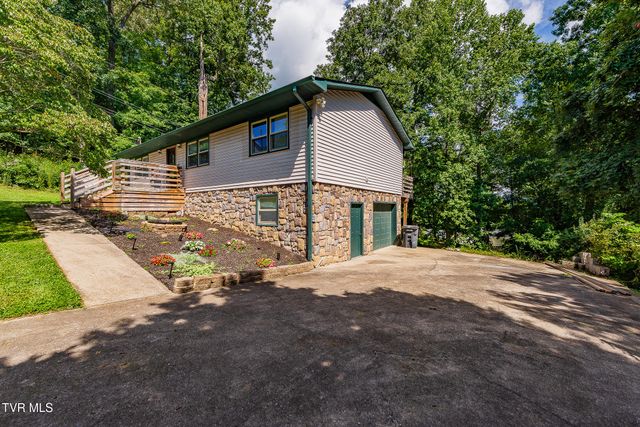 303 Clifftop Court, Mount Carmel, TN 37645