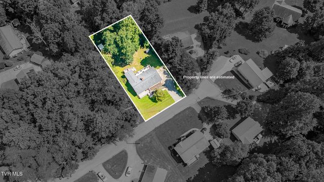 303 Clifftop Court, Mount Carmel, TN 37645