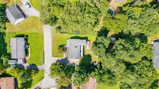 303 Clifftop Court, Mount Carmel, TN 37645