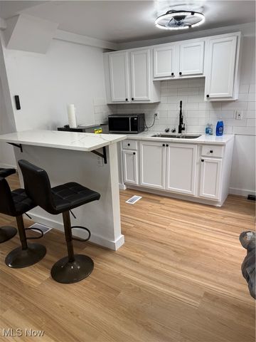 461 Kenwood Drive T3, Euclid, OH 44123