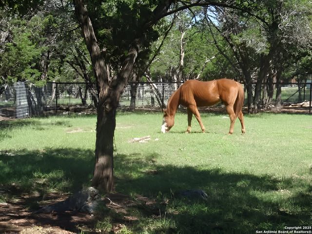 1290 Hidden Oaks, Bulverde, TX 78163