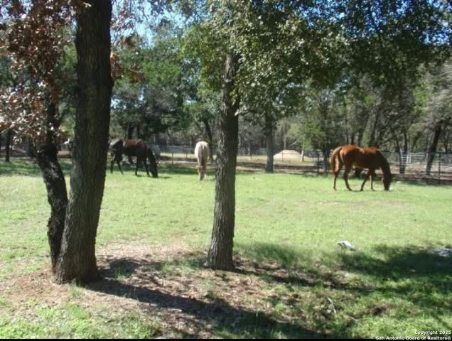 1290 Hidden Oaks, Bulverde, TX 78163