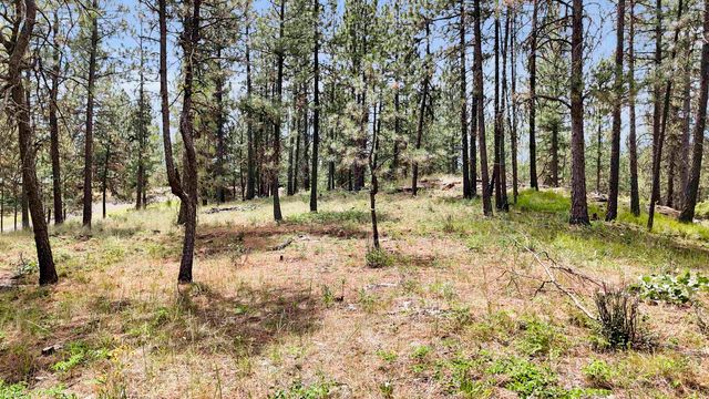 5720 W Riverview Ln, Deer Park, WA 99006