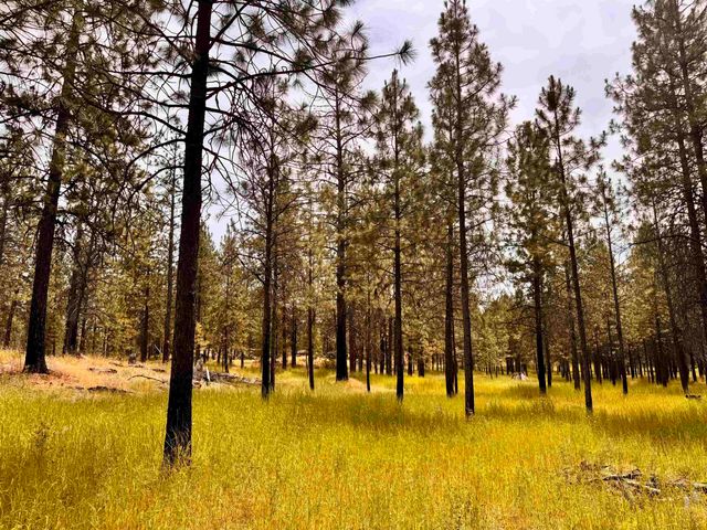 5720 W Riverview Ln, Deer Park, WA 99006