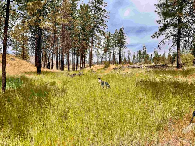 5720 W Riverview Ln, Deer Park, WA 99006