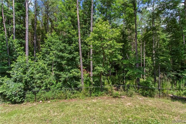 17647 Hayes, Northport, AL 35475