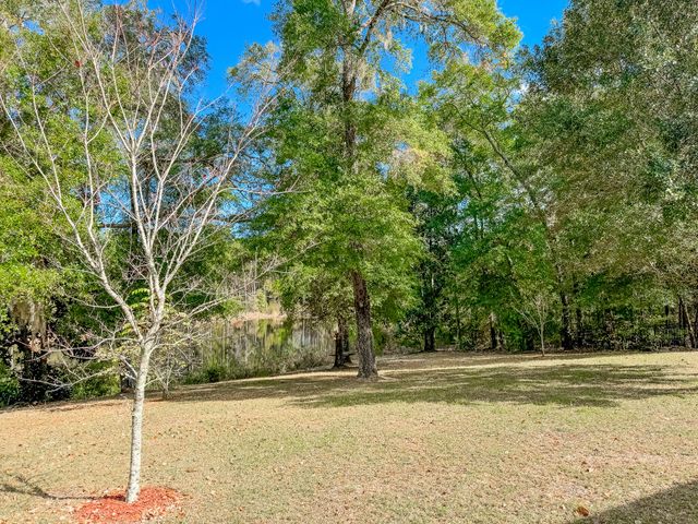 462 Mango Lane, Freeport, FL 32439