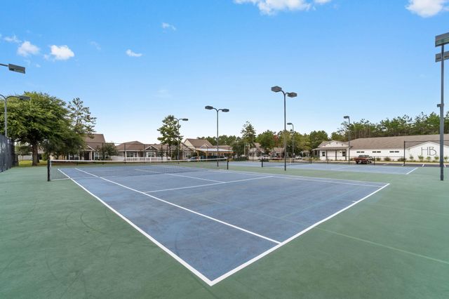 462 Mango Lane, Freeport, FL 32439