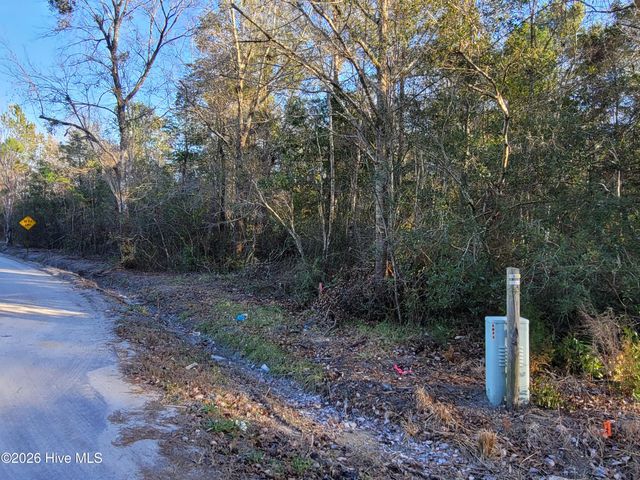 Tbd Lot 1 Auburn Drive, Loris, SC 29569