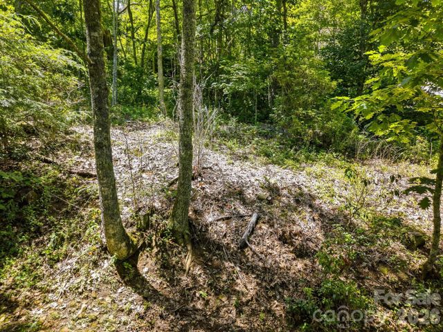 0 Eagles Nest Road 5, Waynesville, NC 28786
