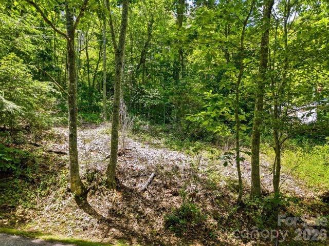 0 Eagles Nest Road 5, Waynesville, NC 28786