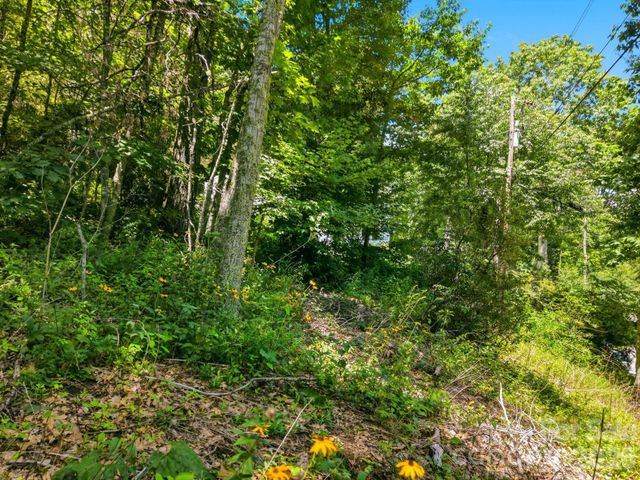 0 Eagles Nest Road 5, Waynesville, NC 28786