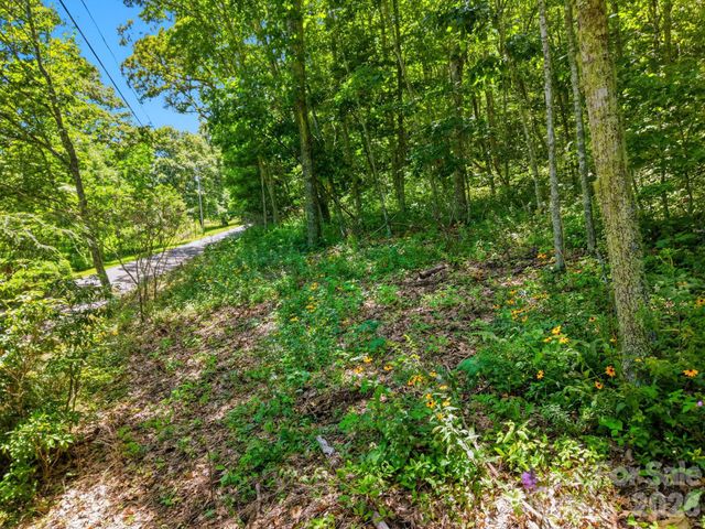 0 Eagles Nest Road 5, Waynesville, NC 28786