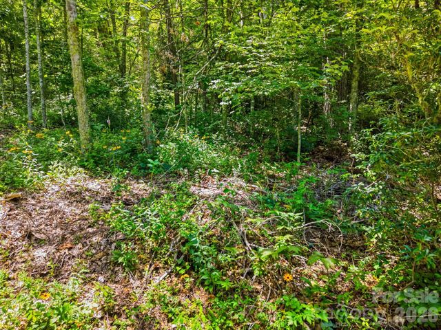 0 Eagles Nest Road 5, Waynesville, NC 28786