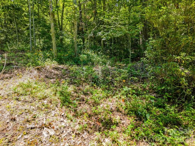 0 Eagles Nest Road 5, Waynesville, NC 28786