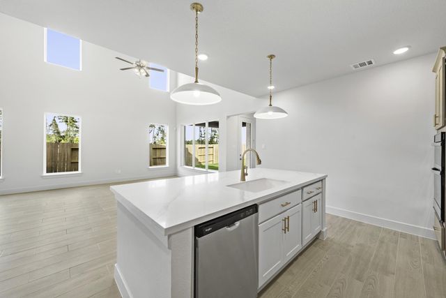 433 Buckaroo DR, Georgetown, TX 78633