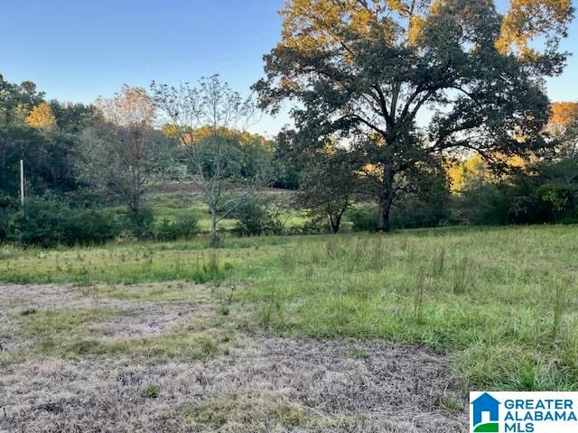 201 COVE ACCESS ROAD, Talladega, AL 35160