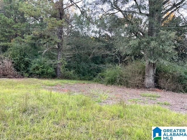 201 COVE ACCESS ROAD, Talladega, AL 35160