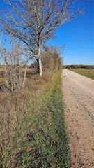 TBD Podraza Road, New Waverly, TX 77358