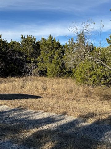 44125 Cedar Hill Drive, Whitney, TX 76692
