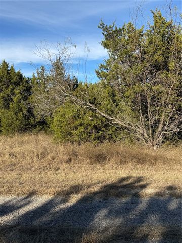 44125 Cedar Hill Drive, Whitney, TX 76692