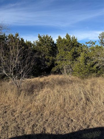 44125 Cedar Hill Drive, Whitney, TX 76692