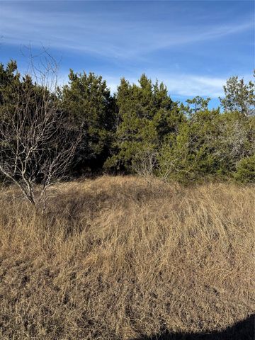 44125 Cedar Hill Drive, Whitney, TX 76692