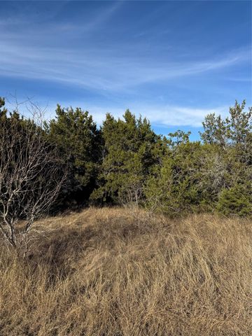 44125 Cedar Hill Drive, Whitney, TX 76692