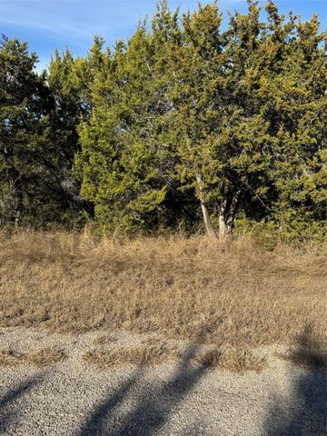 44125 Cedar Hill Drive, Whitney, TX 76692