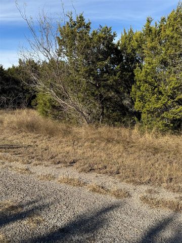 44125 Cedar Hill Drive, Whitney, TX 76692