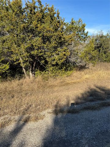 44125 Cedar Hill Drive, Whitney, TX 76692