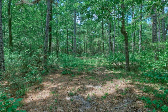 8327 Fm 980 N, Huntsville, TX 77320