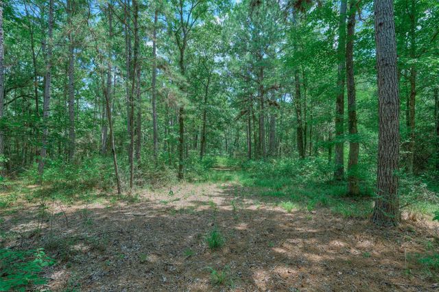8327 Fm 980 N, Huntsville, TX 77320