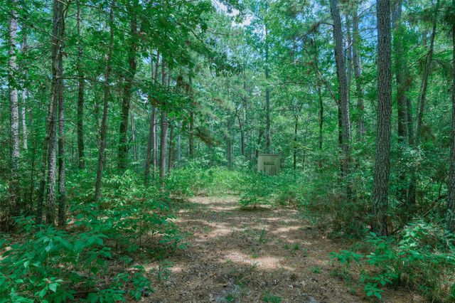 8327 Fm 980 N, Huntsville, TX 77320