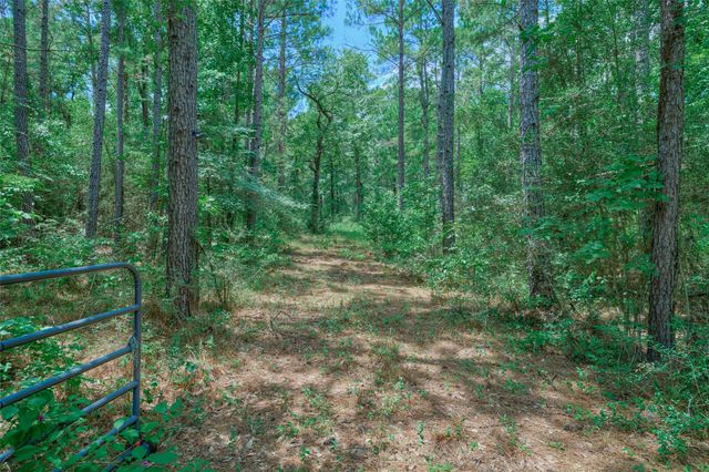 8327 Fm 980 N, Huntsville, TX 77320