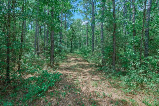 8327 Fm 980 N, Huntsville, TX 77320