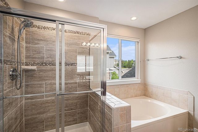 1076 Switch Grass Drive, Castle Rock, CO 80109
