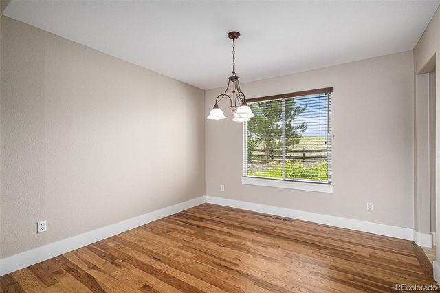 1076 Switch Grass Drive, Castle Rock, CO 80109